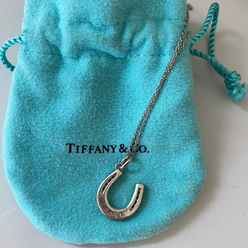 Tiffany & Co. Horseshoe Necklace